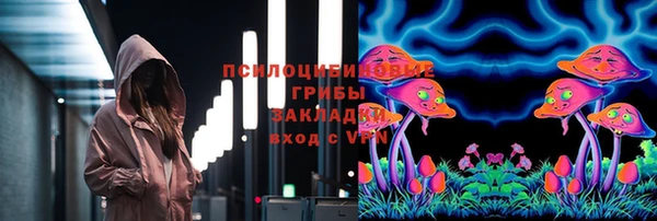 тгк Магас