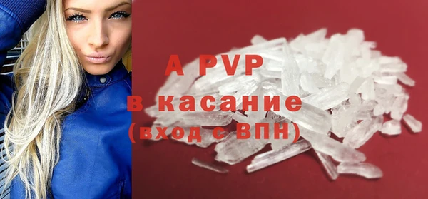 хмурый Липки