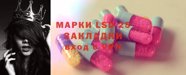хмурый Липки