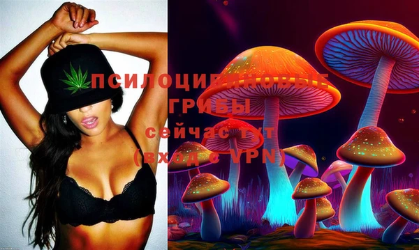 тгк Магас