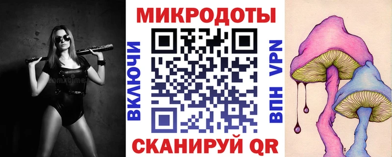 Купить  Карабаш  Галлюциногенные грибы Cubensis 